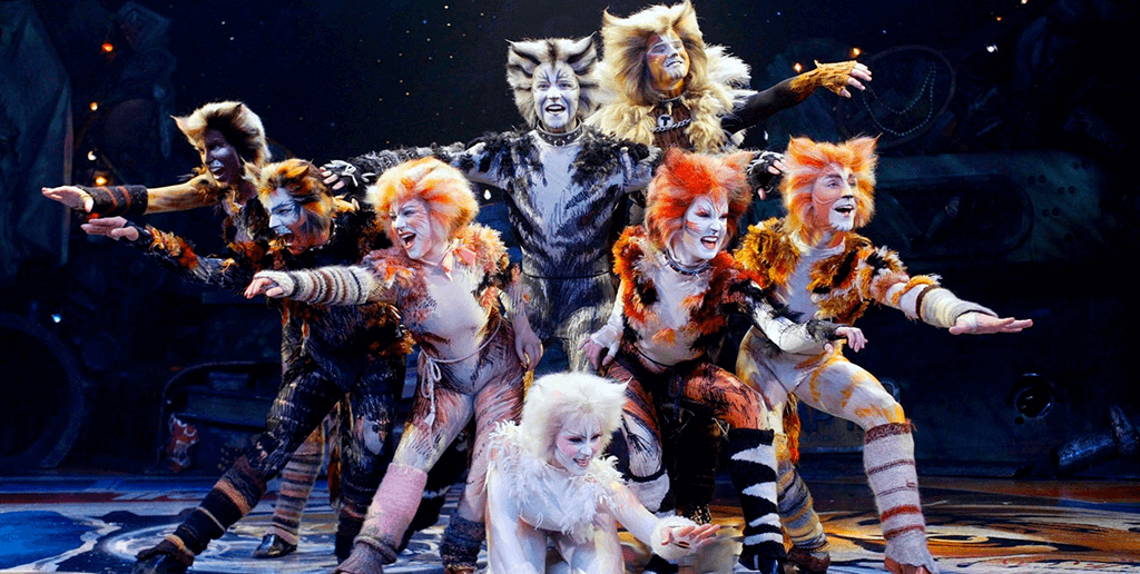 cats musival show in cancun