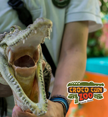 Croco Coon Zoo en Cancun