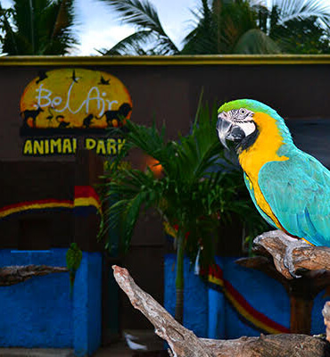 El Parque Bel Air en Cancun