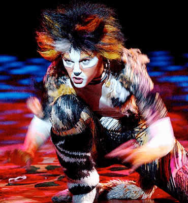 cats musical  Cats musical, Musicals, Cats