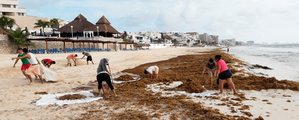 limpieza de playas solaris