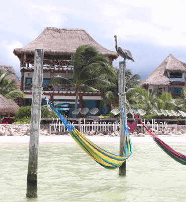 hamacas en la isla holbox del caribe