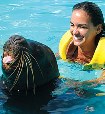 Nadando con Leones Marinos en Cancún