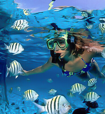 Nadando con los Peces de la Costa de Cancún