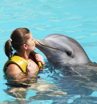 Actividades de Delfines en Los Cabos