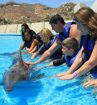 Acariciando a Delfines en Los Cabos