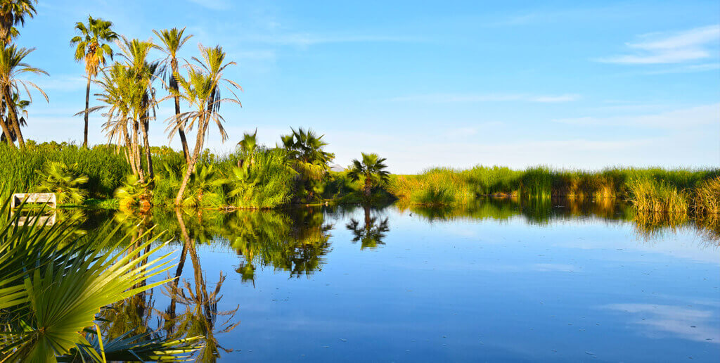 El Estero de San José del cabo