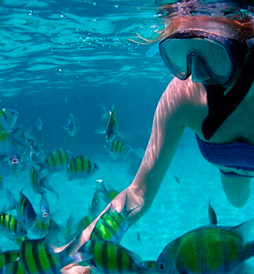 Snorkeling en la playa Maroma en Cancun