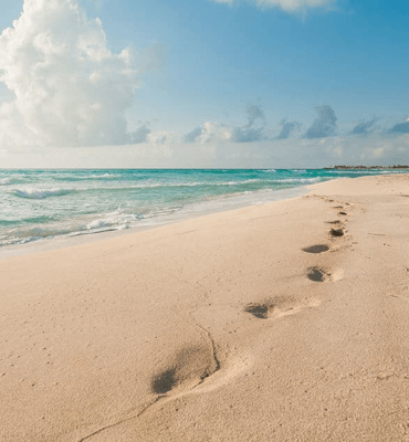 The Beaches of Cancun are free of Sargassum