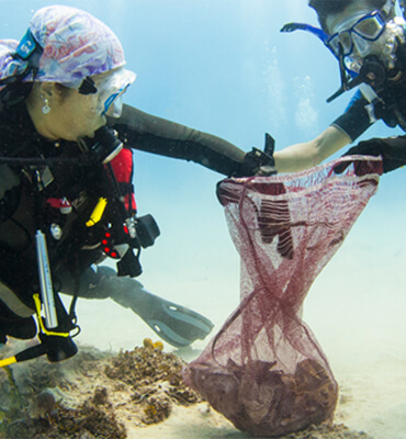 Divers taking care and cleaning the Beaches of Cabos