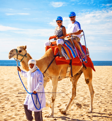 Los Tours de Camellos en las Playas de Los Cabos