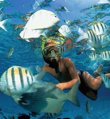 Snorkeling Tour en la Isla Mujeres